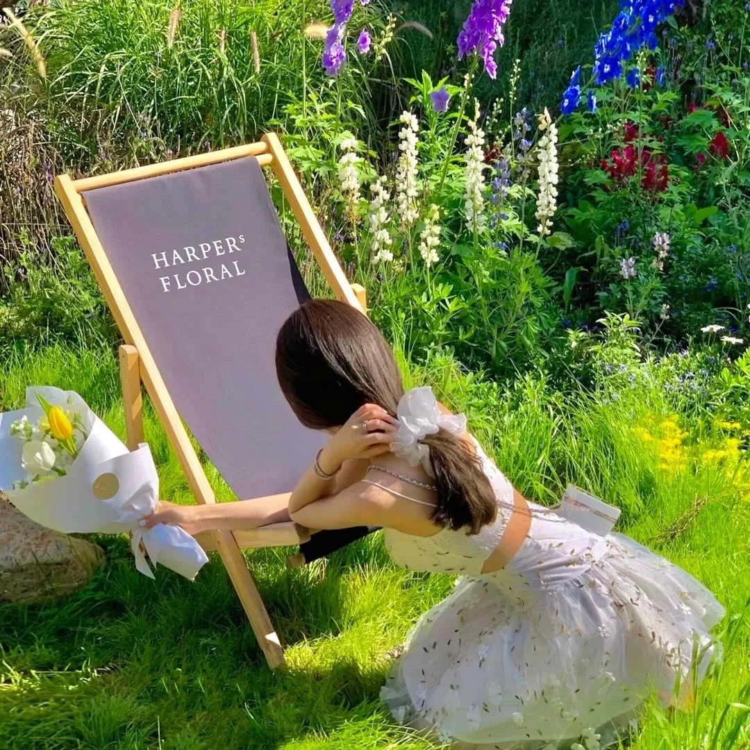 左岸,右岸